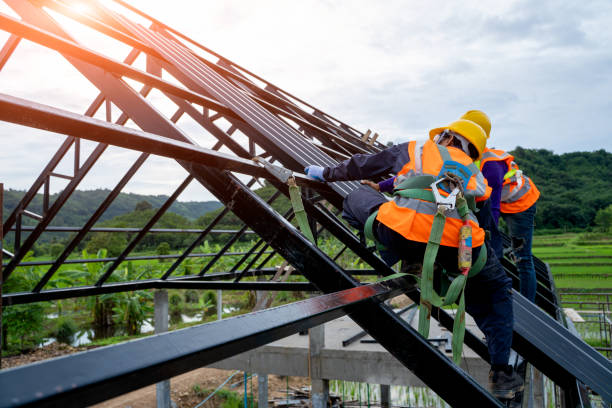 Best Shingle Roofing Installation  in Battle Creek, NE