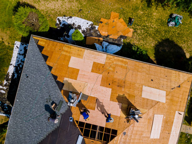 Best Roof Waterproofing Services  in Battle Creek, NE