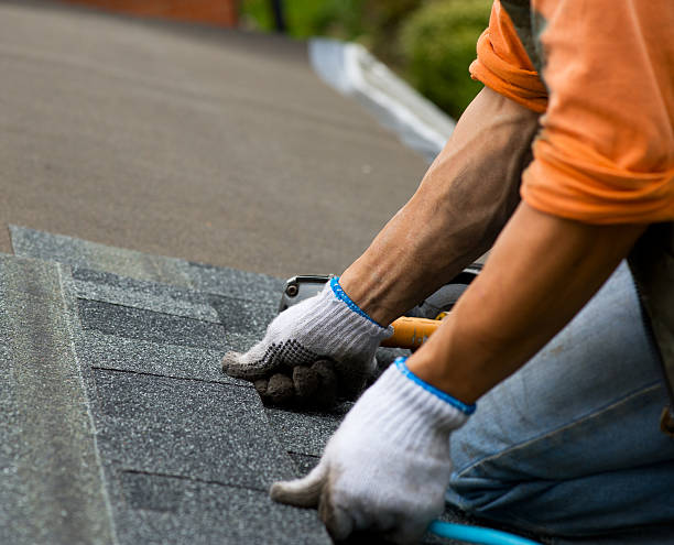 Best Roofing Contractors for Homes  in Battle Creek, NE