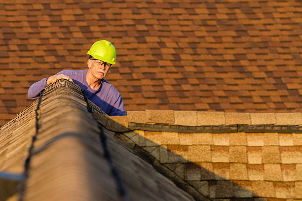 Best Storm Damage Roof Repair  in Battle Creek, NE